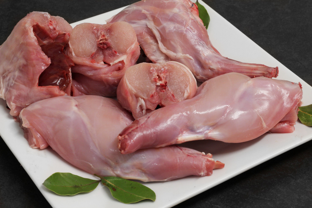 Rabbits