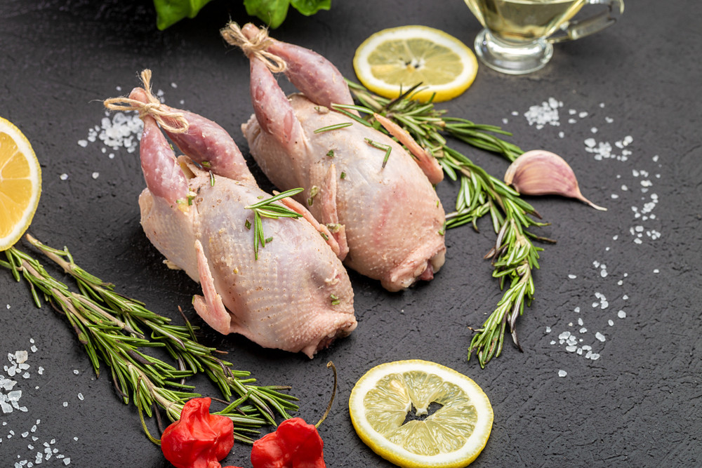 Partridge