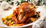 Christmas Pheasant